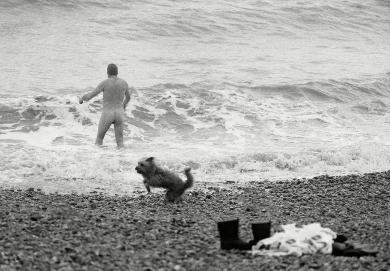 Baltic porter with chokeberries and juniper